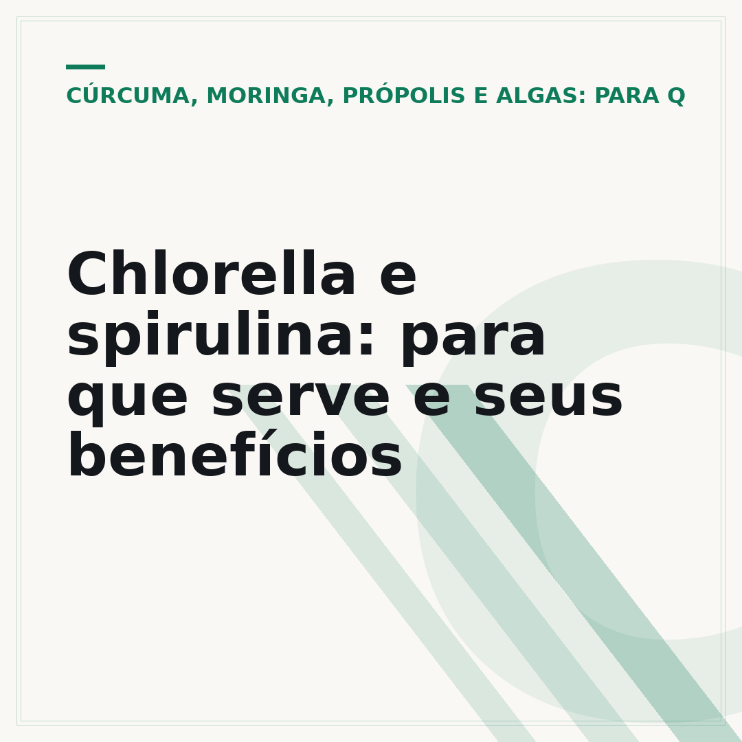 Chlorella e spirulina: para que serve e seus benefícios