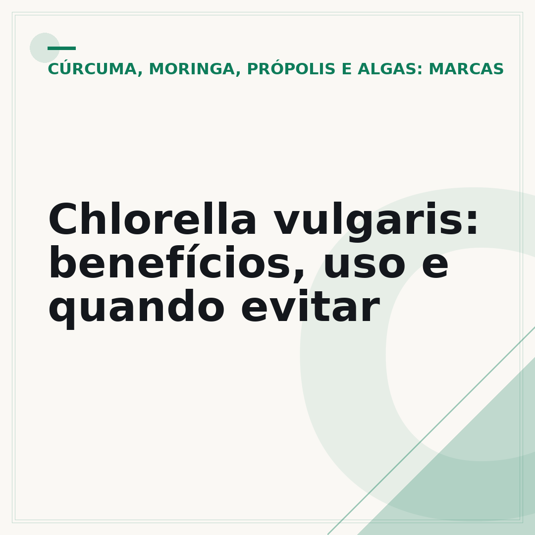 Chlorella vulgaris: benefícios, uso e quando evitar