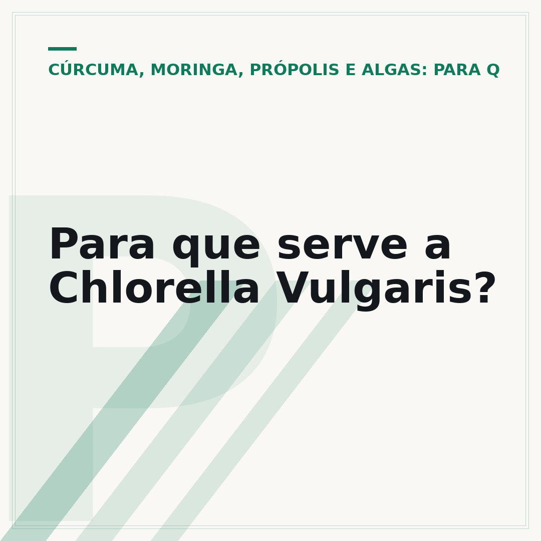 Para que serve a Chlorella Vulgaris?