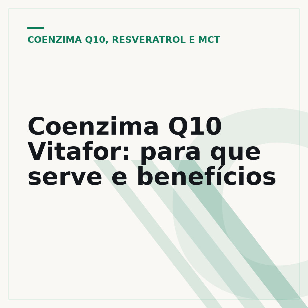 Coenzima Q10 Vitafor: para que serve e benefícios