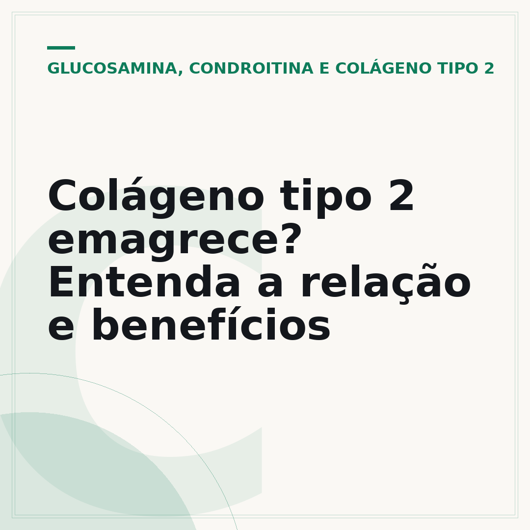 Colágeno tipo 2 emagrece? Entenda a relação e benefícios