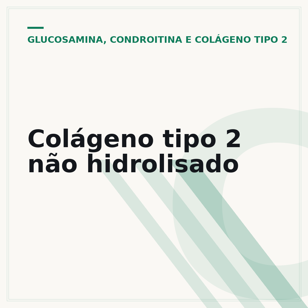 Colágeno tipo 2 não hidrolisado
