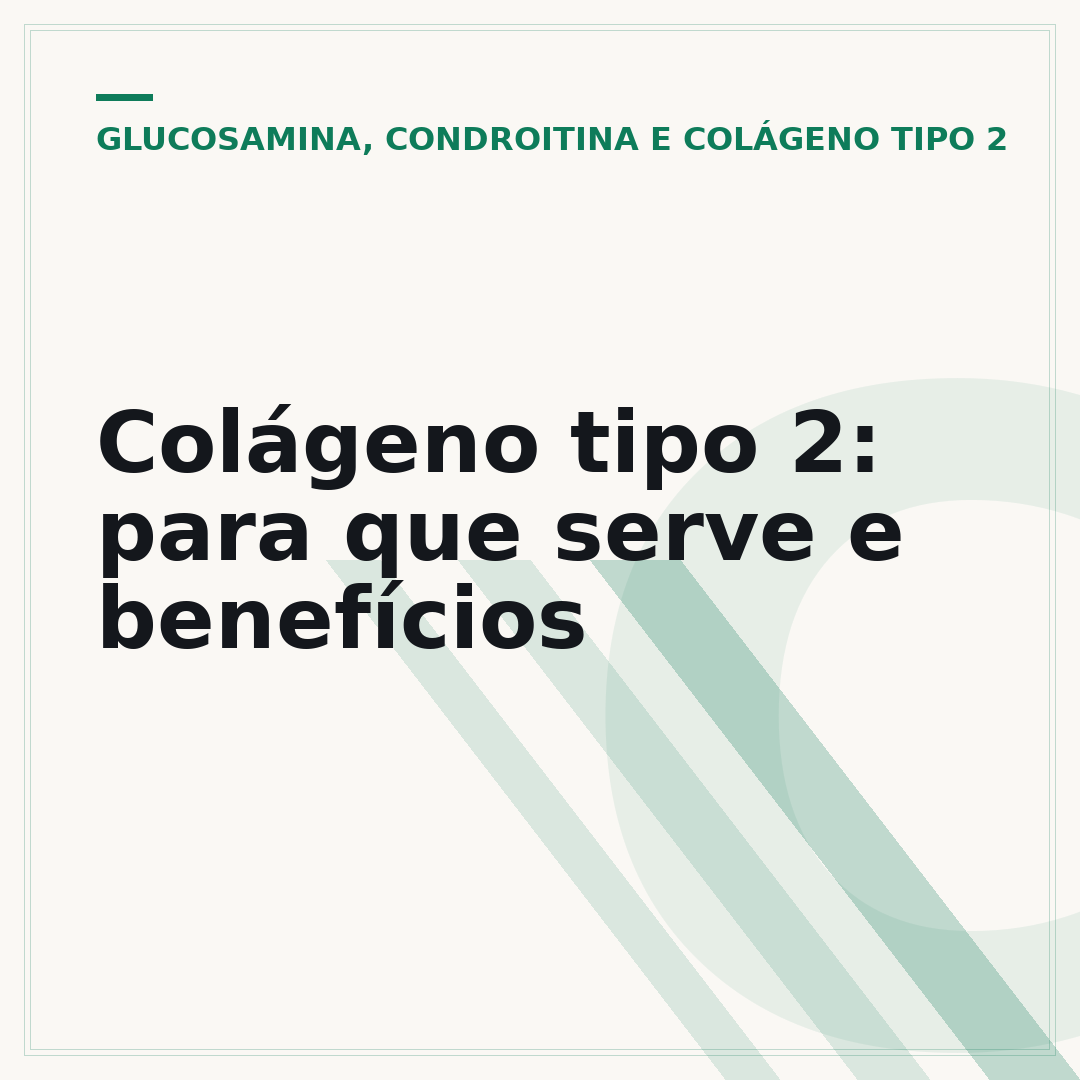 Colágeno tipo 2: para que serve e benefícios