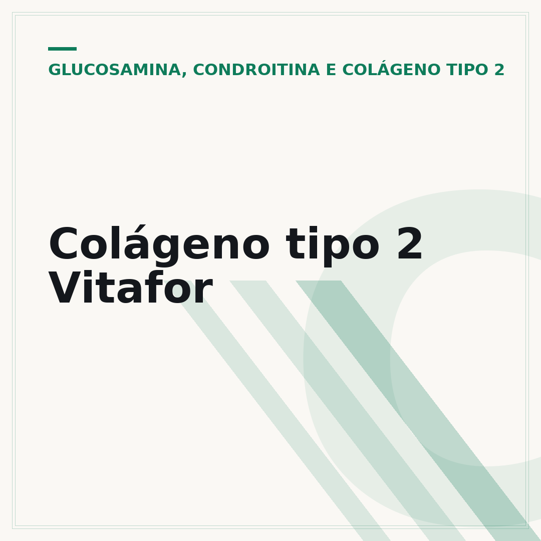 Colágeno tipo 2 Vitafor