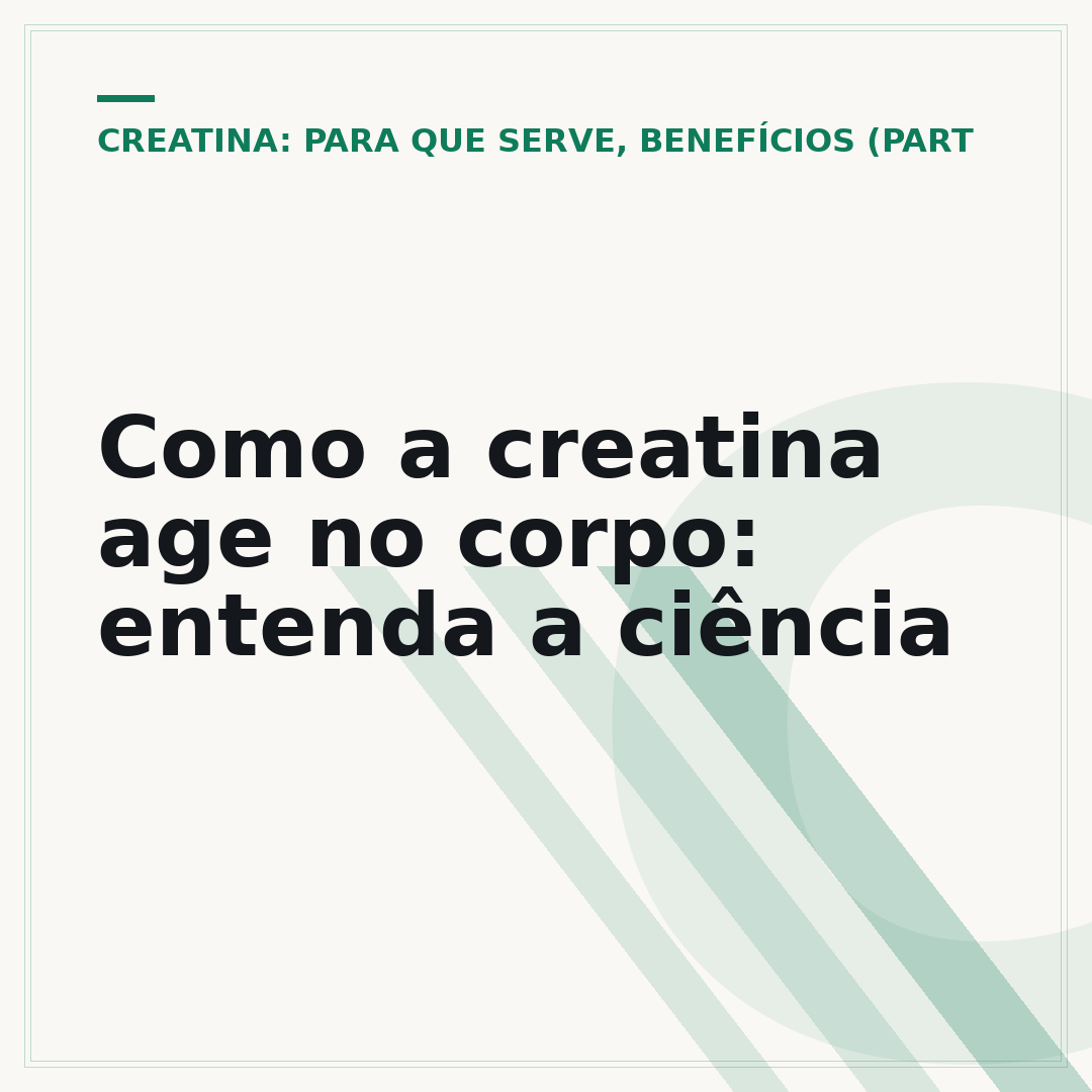 Como a creatina age no corpo: entenda a ciência