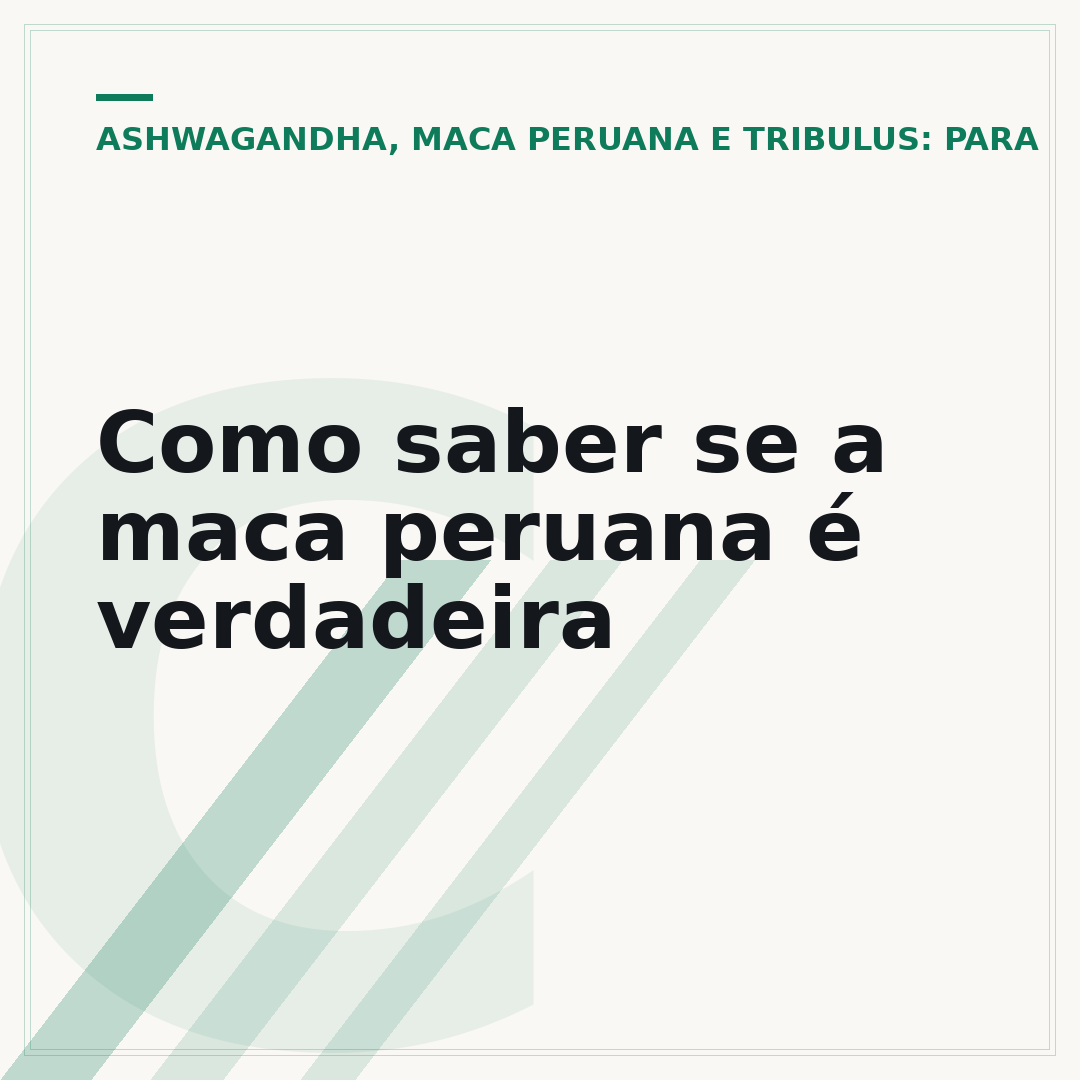 Como saber se a maca peruana é verdadeira
