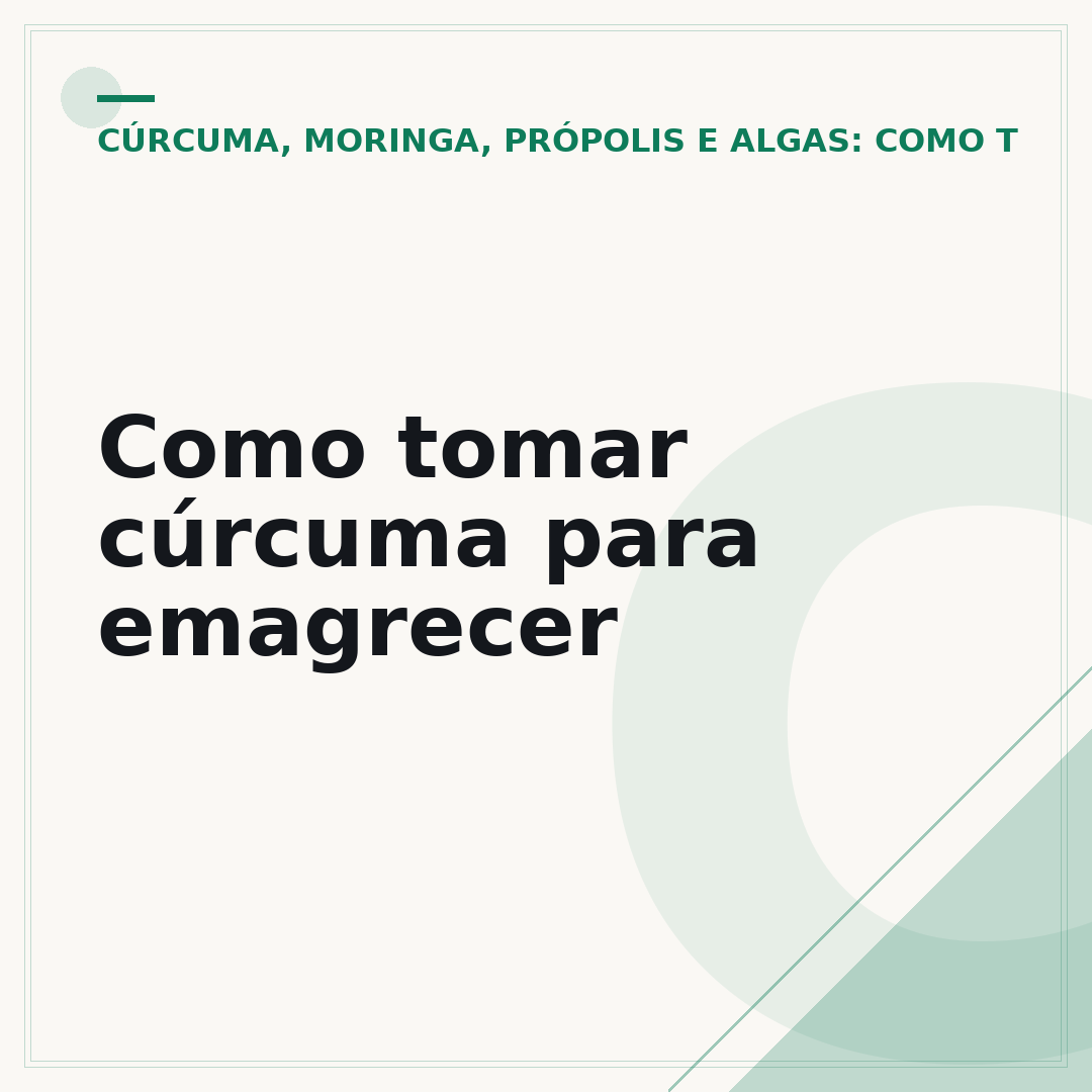Como tomar cúrcuma para emagrecer
