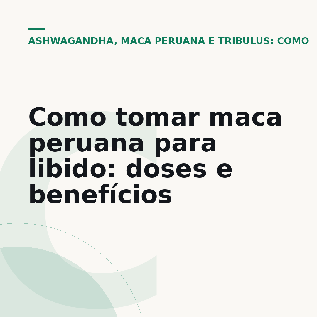 Como tomar maca peruana para libido: doses e benefícios