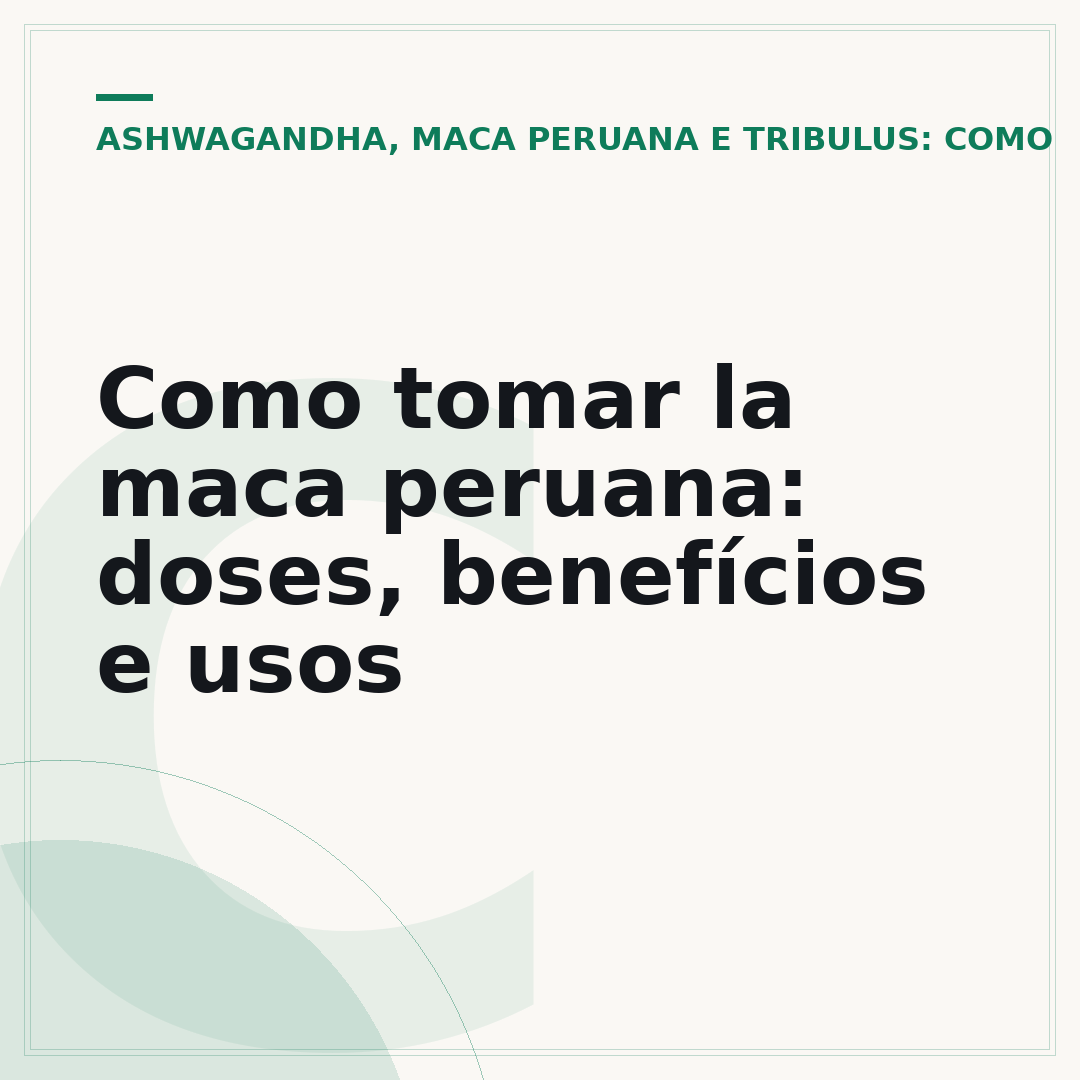 Como tomar la maca peruana: doses, benefícios e usos