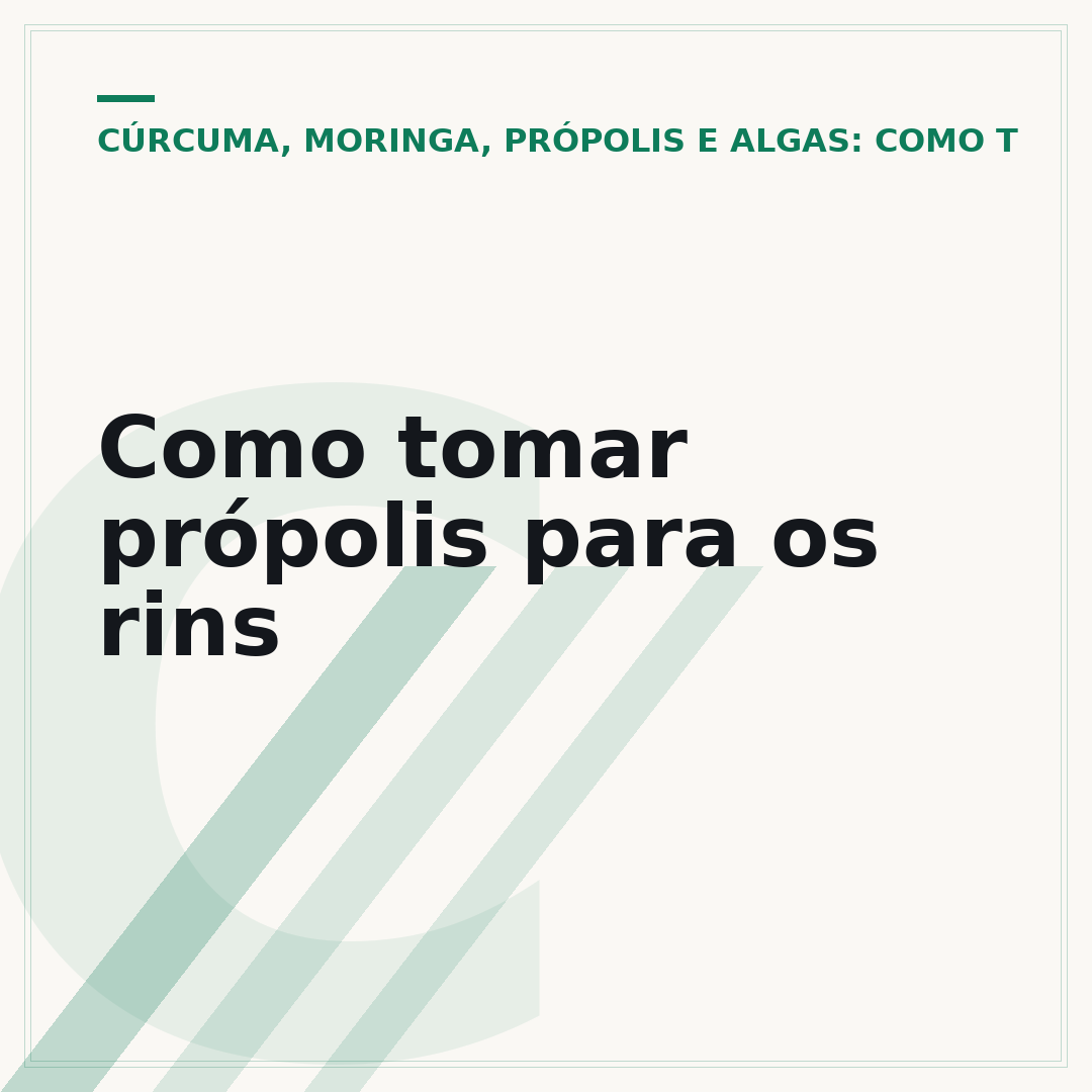 Como tomar própolis para os rins