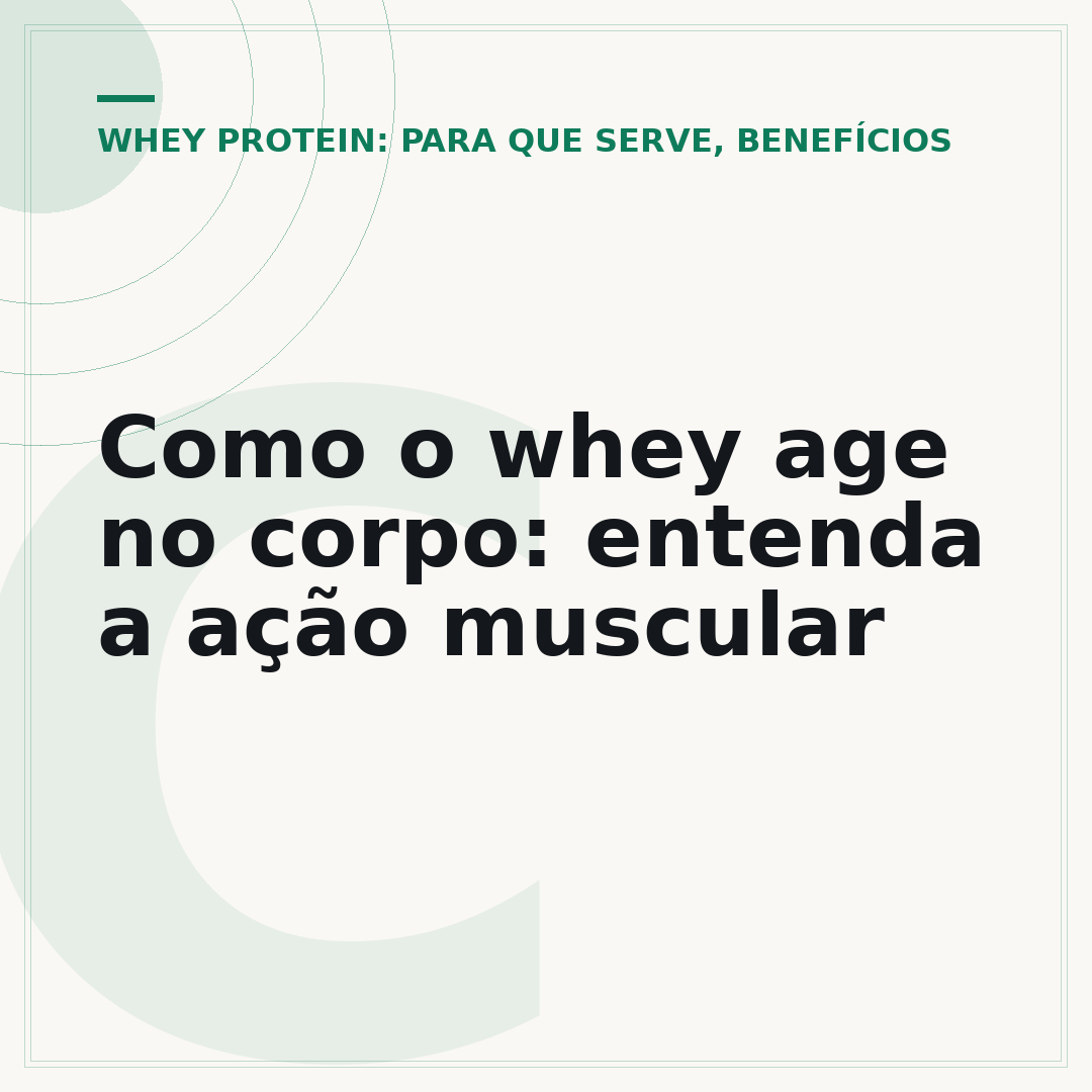 Como o whey age no corpo: entenda a ação muscular