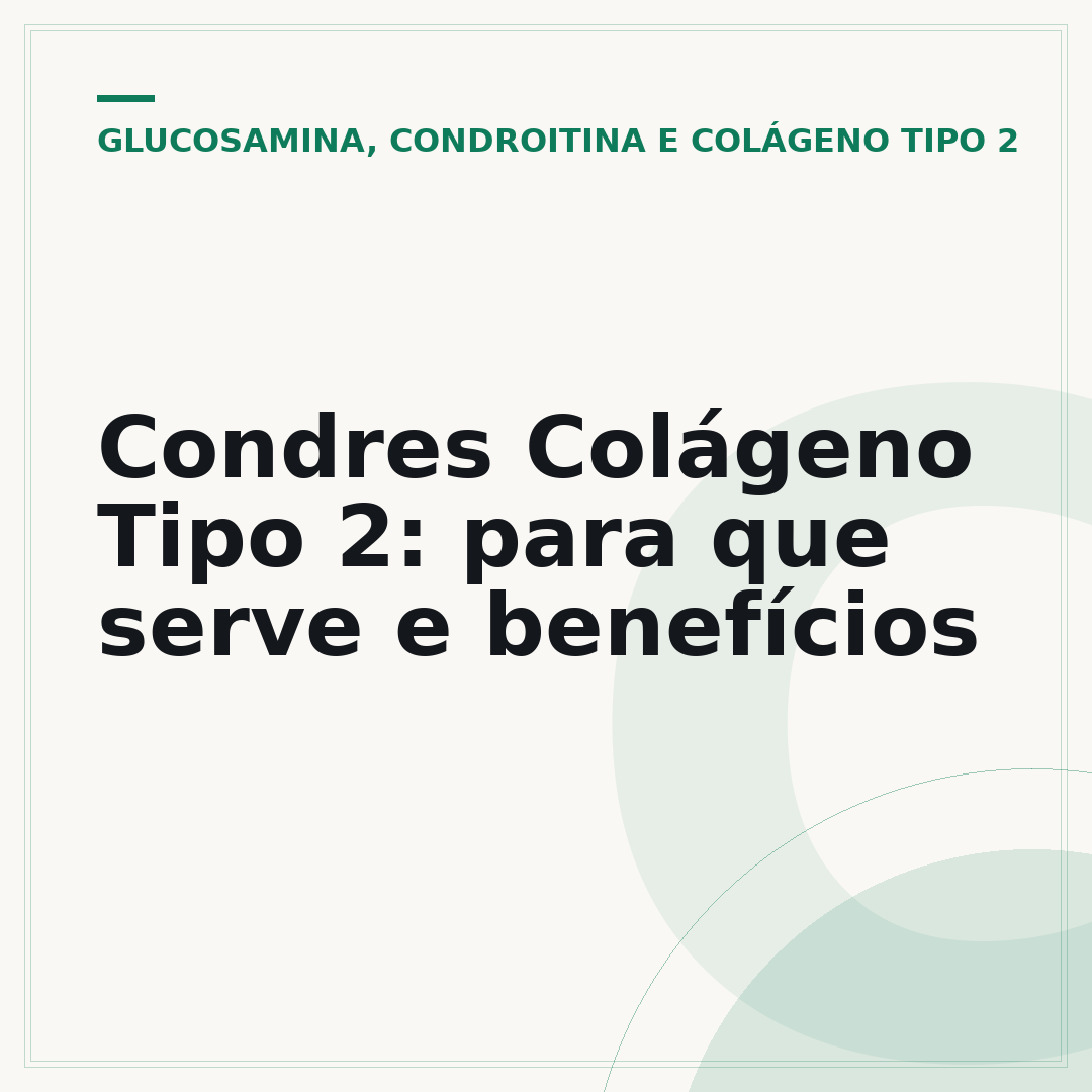 Condres Colágeno Tipo 2: para que serve e benefícios
