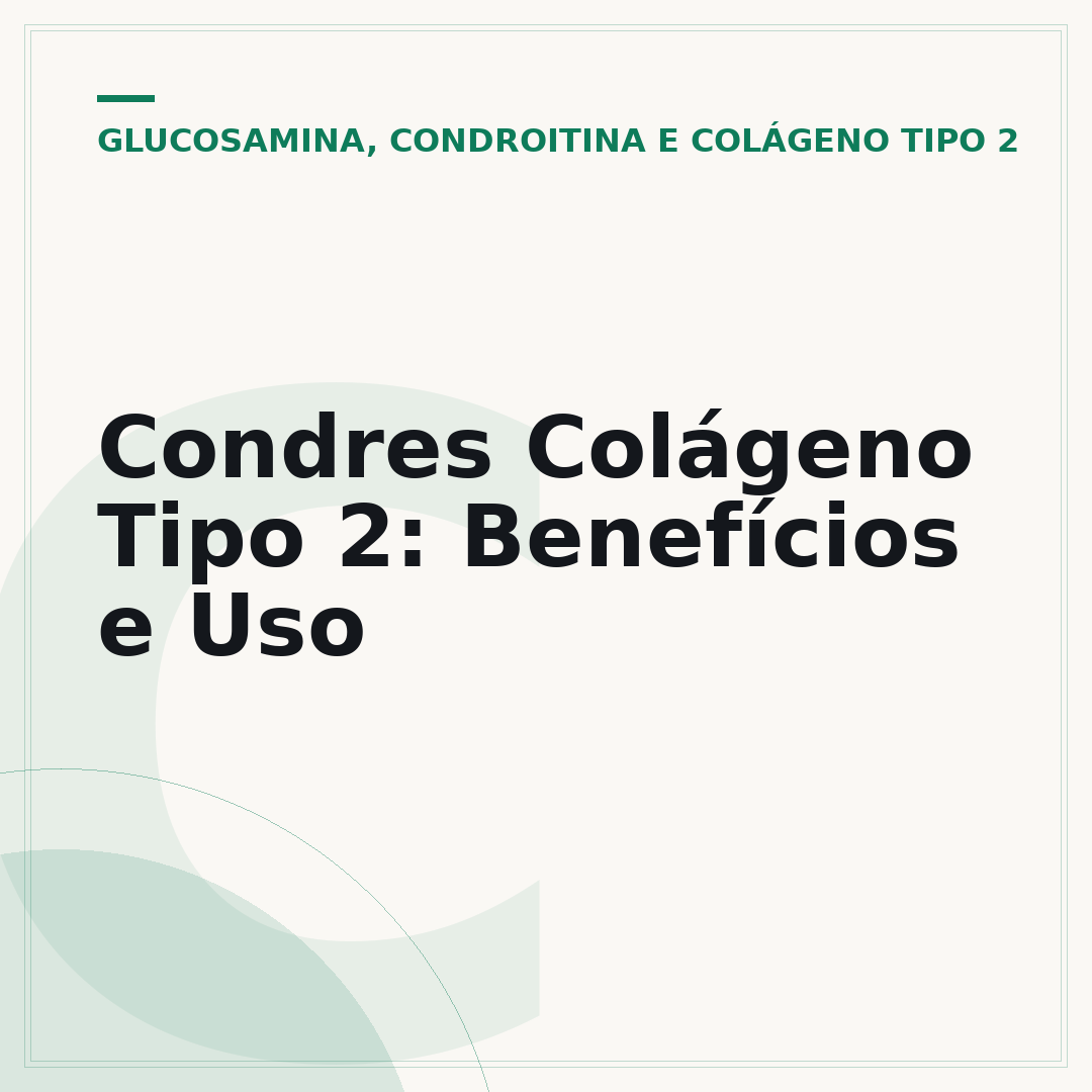 Condres Colágeno Tipo 2: Benefícios e Uso
