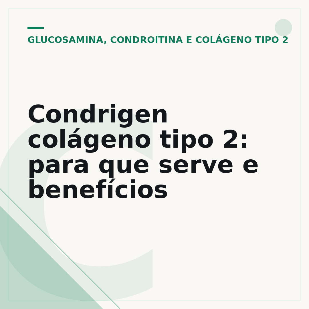 Condrigen colágeno tipo 2: para que serve e benefícios