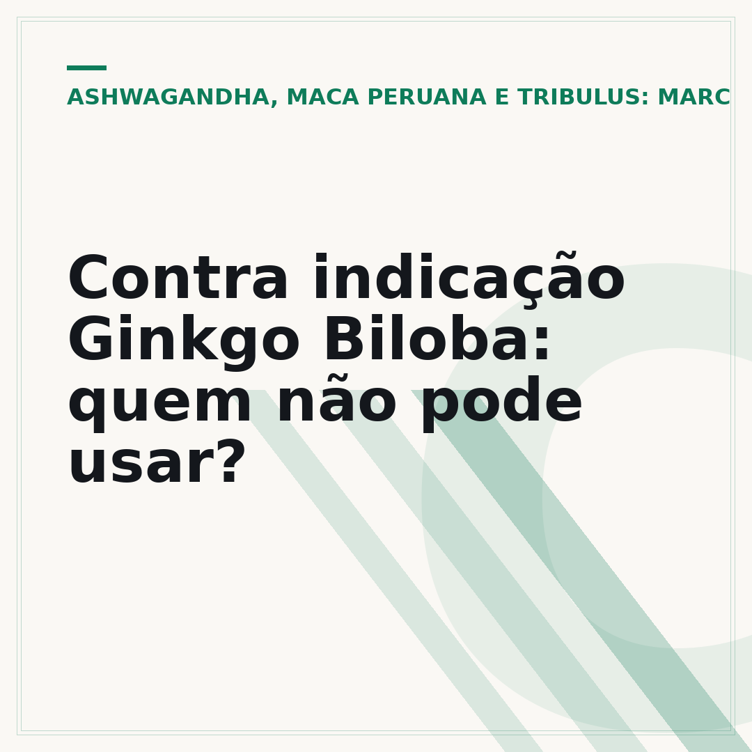 Contra indicação Ginkgo Biloba: quem não pode usar?