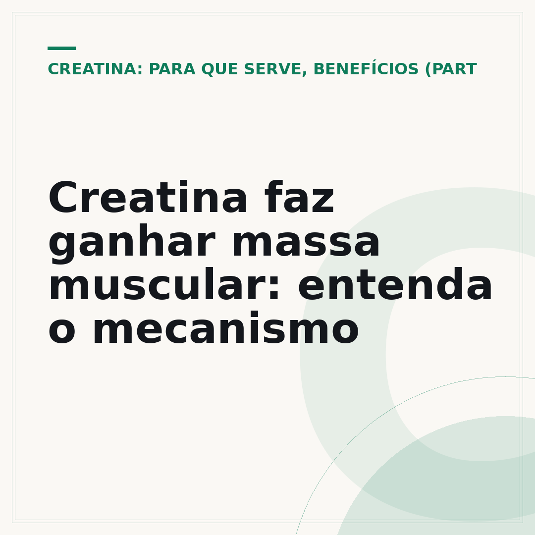 Creatina faz ganhar massa muscular: entenda o mecanismo