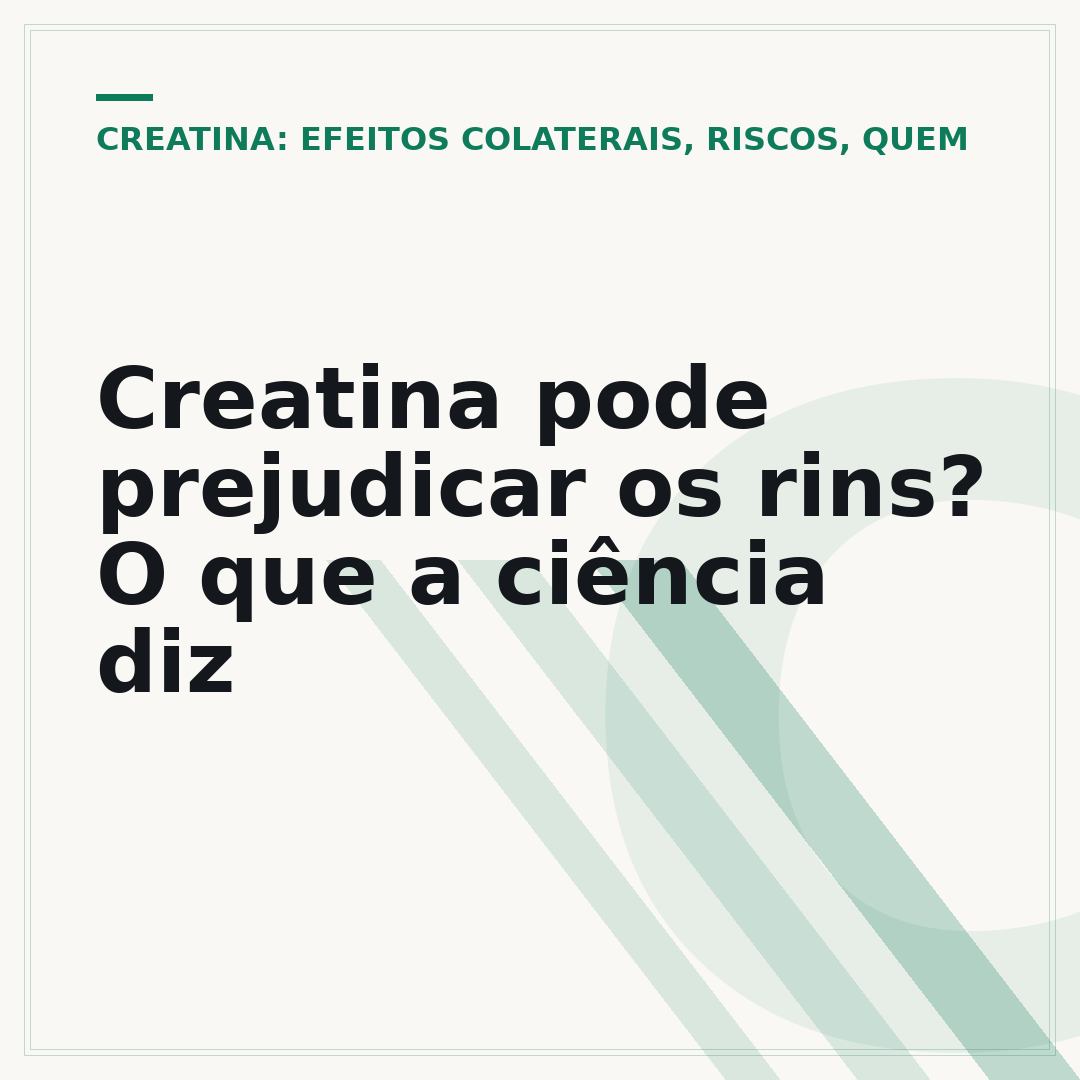 Creatina pode prejudicar os rins? O que a ciência diz