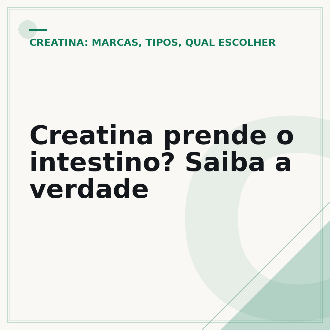 Creatina prende o intestino? Saiba a verdade
