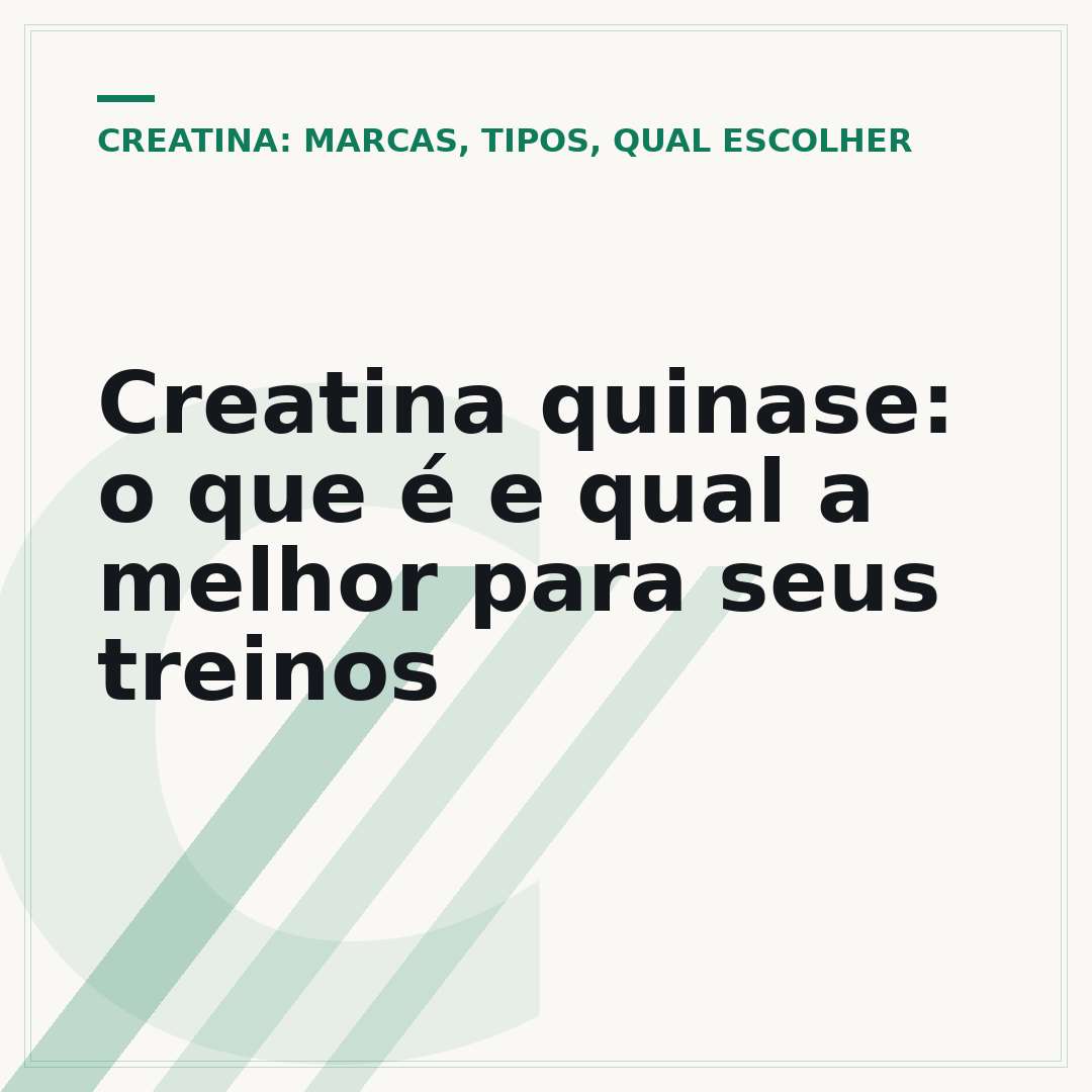 Creatina quinase: o que é e qual a melhor para seus treinos