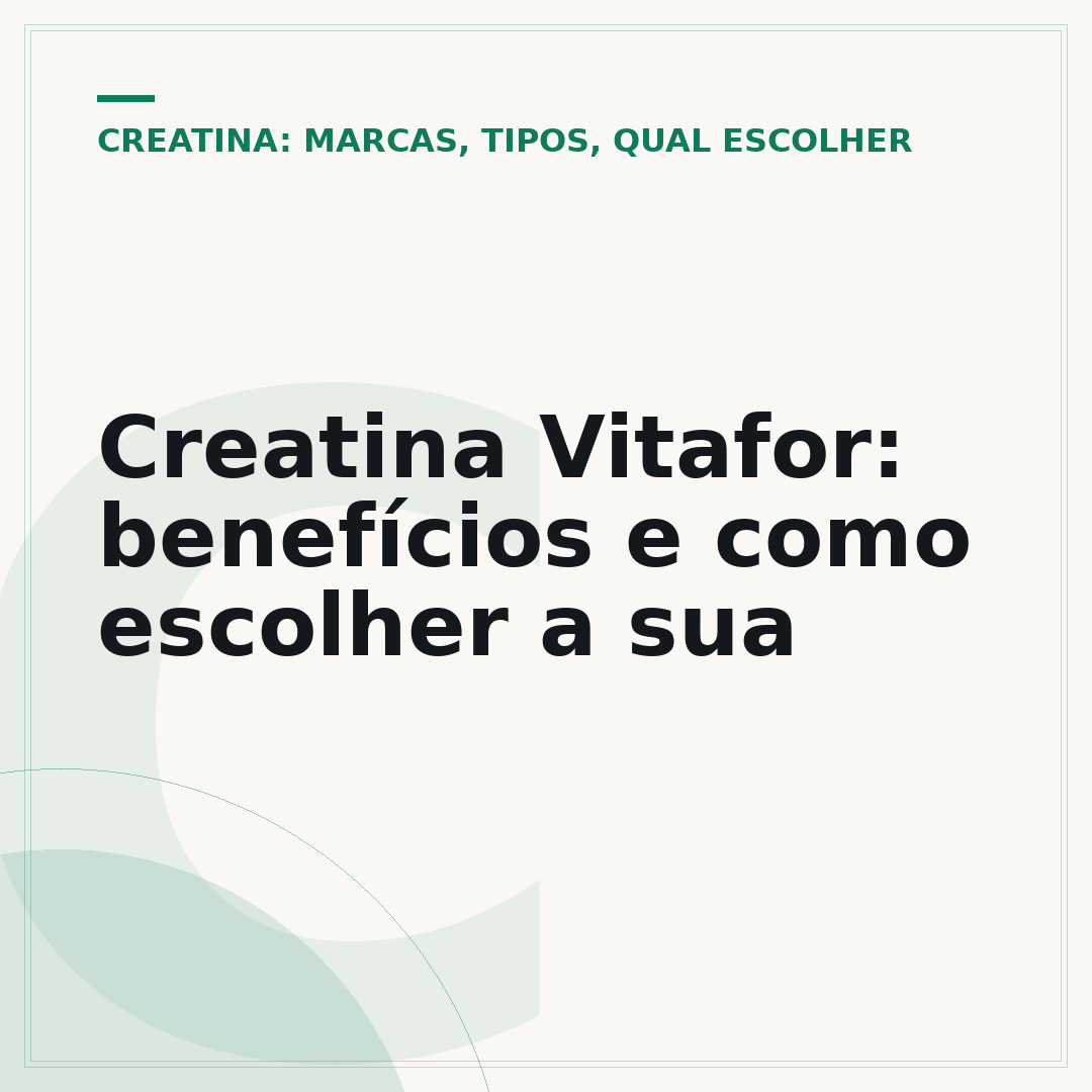Creatina Vitafor: benefícios e como escolher a sua