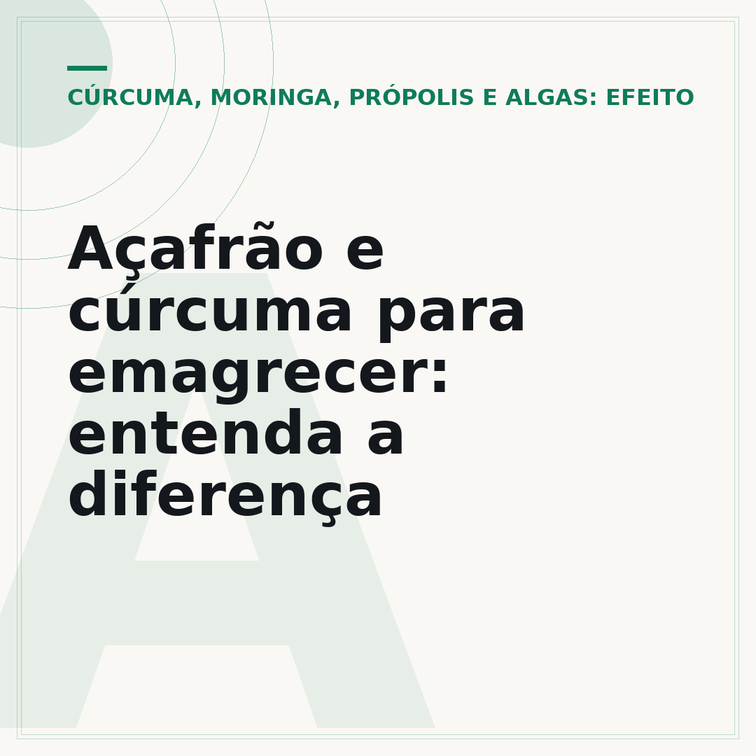 Açafrão e cúrcuma para emagrecer: entenda a diferença