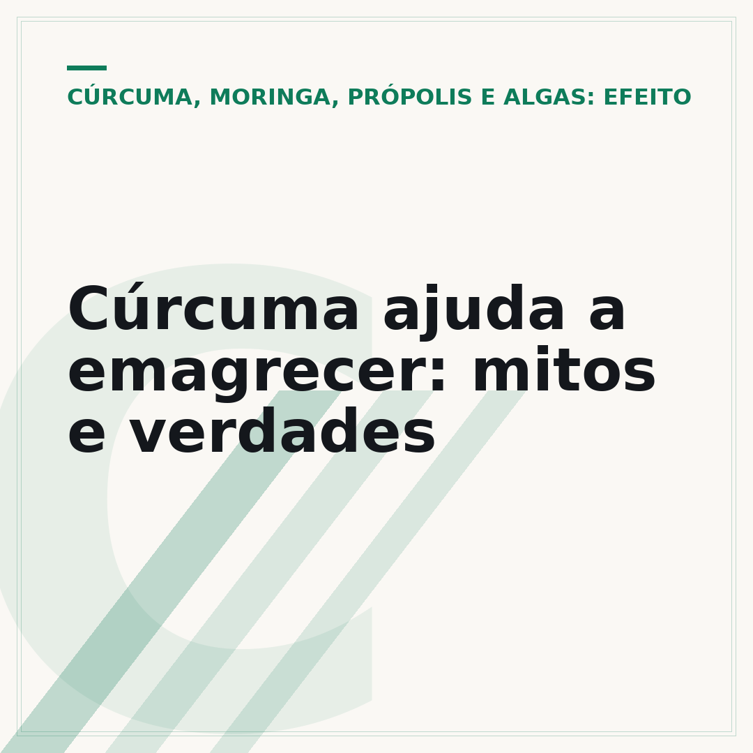 Cúrcuma ajuda a emagrecer: mitos e verdades