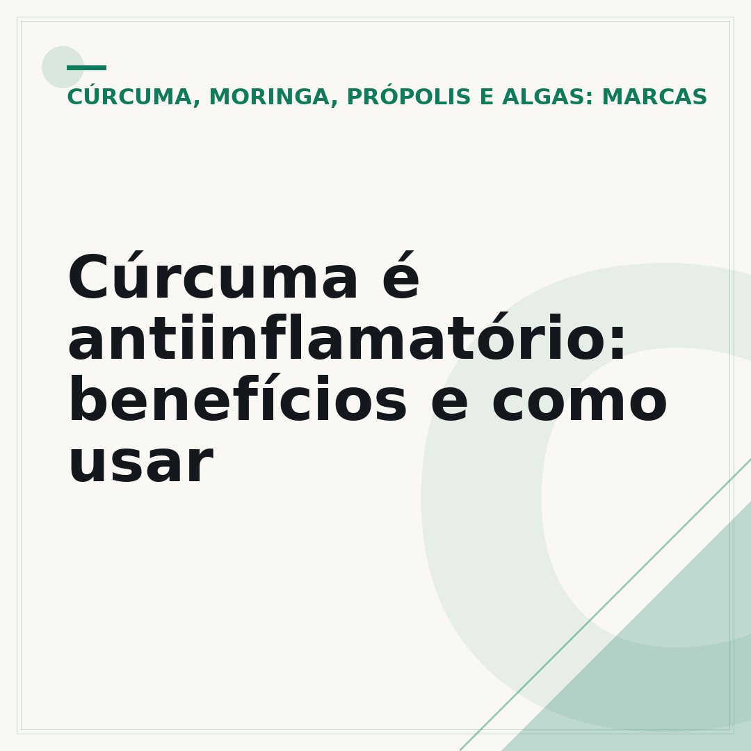 Cúrcuma é antiinflamatório: benefícios e como usar