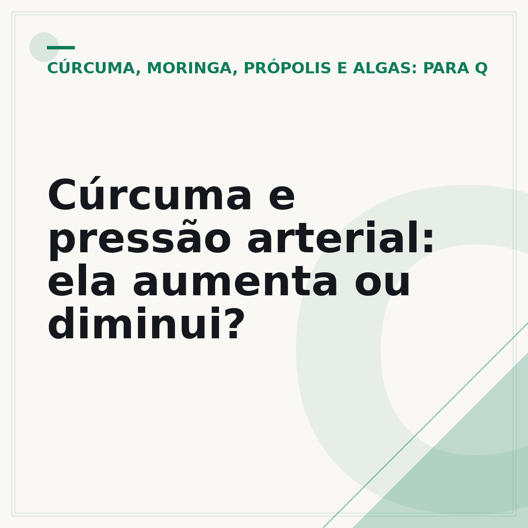 Cúrcuma e pressão arterial: ela aumenta ou diminui?