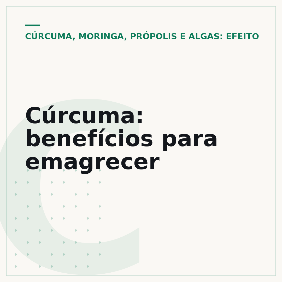 Cúrcuma: benefícios para emagrecer