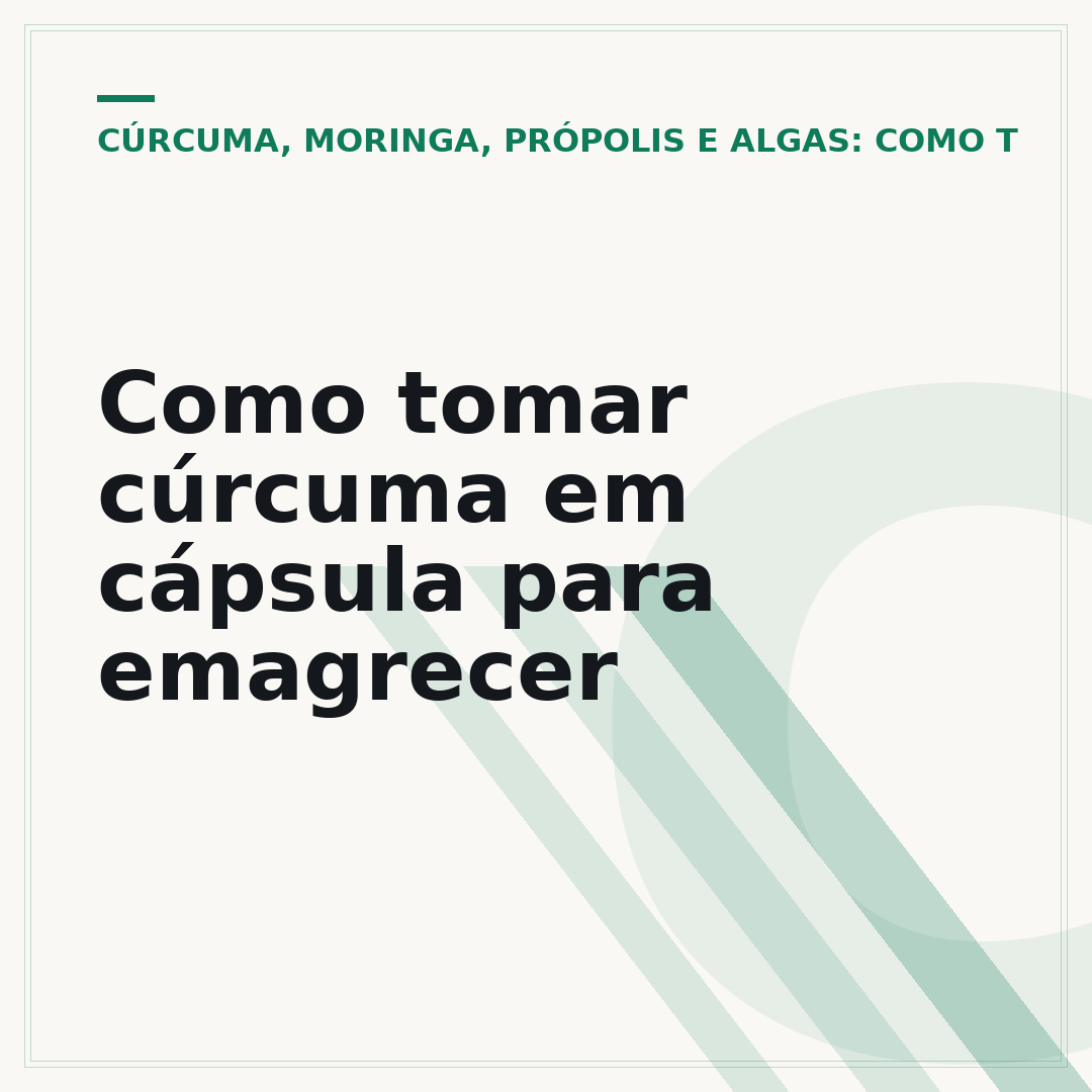 Como tomar cúrcuma em cápsula para emagrecer
