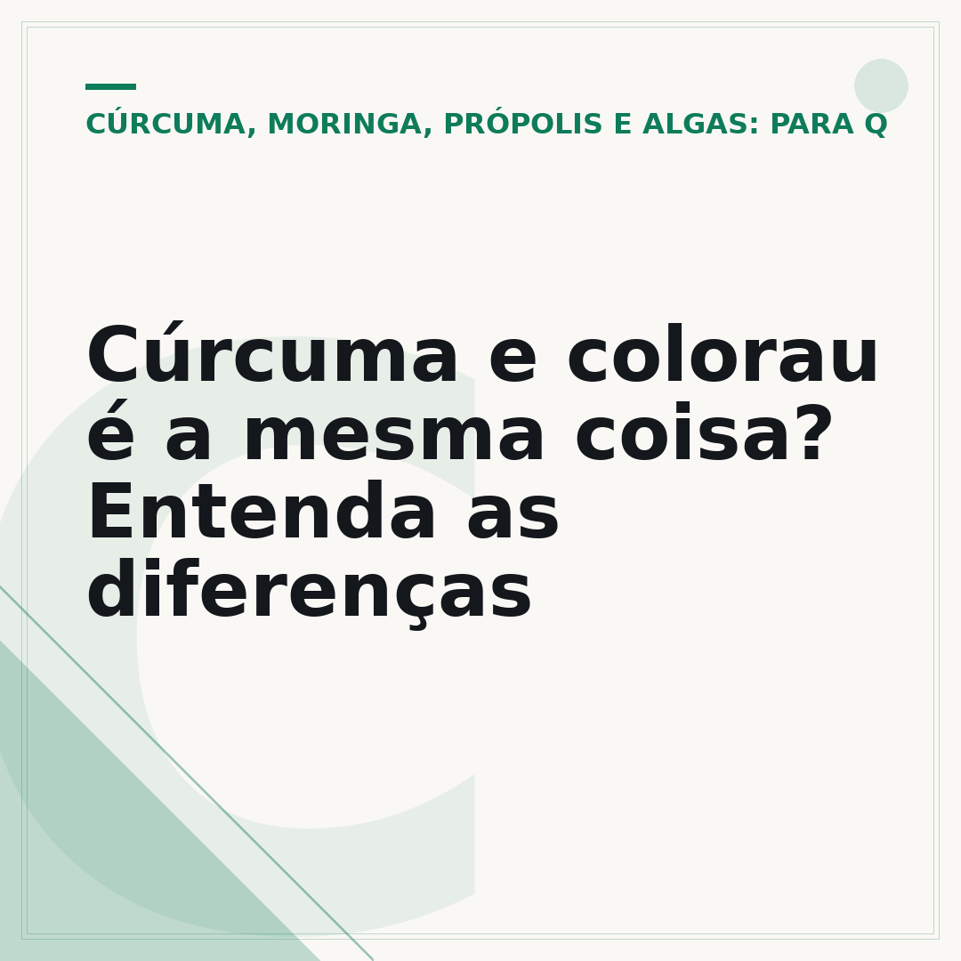 Cúrcuma e colorau é a mesma coisa? Entenda as diferenças