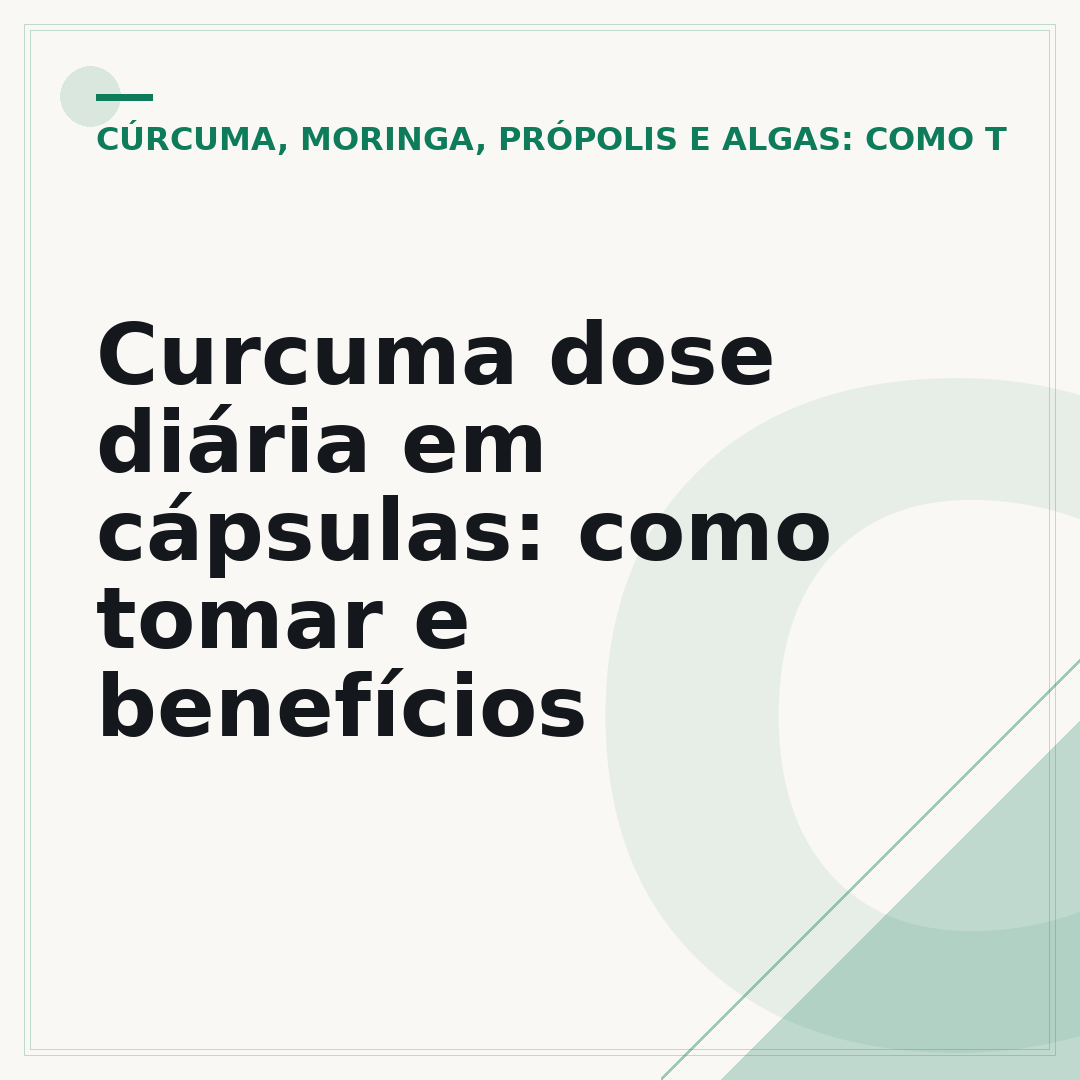 Curcuma dose diária em cápsulas: como tomar e benefícios