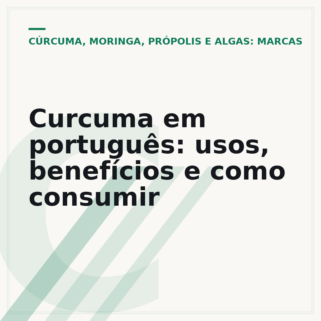 Curcuma em português: usos, benefícios e como consumir