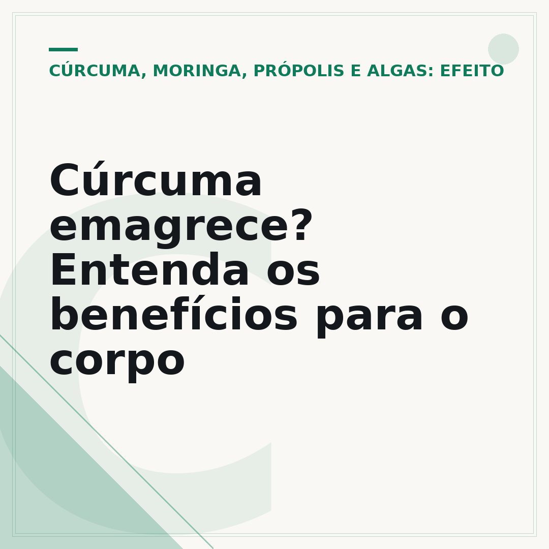 Cúrcuma emagrece? Entenda os benefícios para o corpo