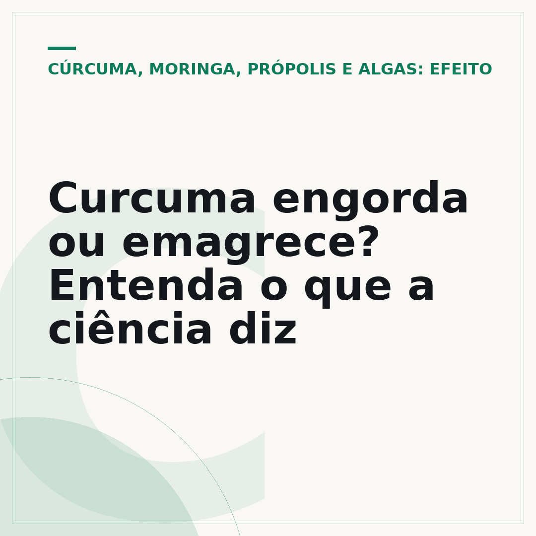 Curcuma engorda ou emagrece? Entenda o que a ciência diz
