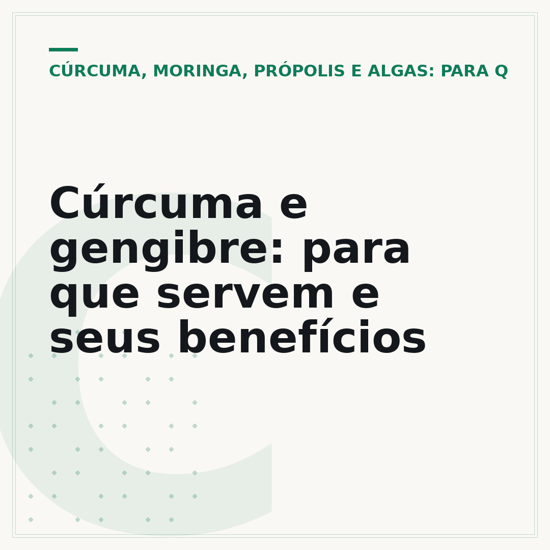 Cúrcuma e gengibre: para que servem e seus benefícios