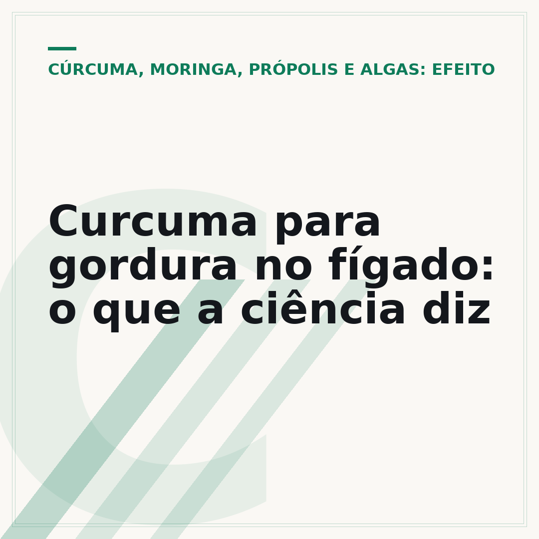 Curcuma para gordura no fígado: o que a ciência diz