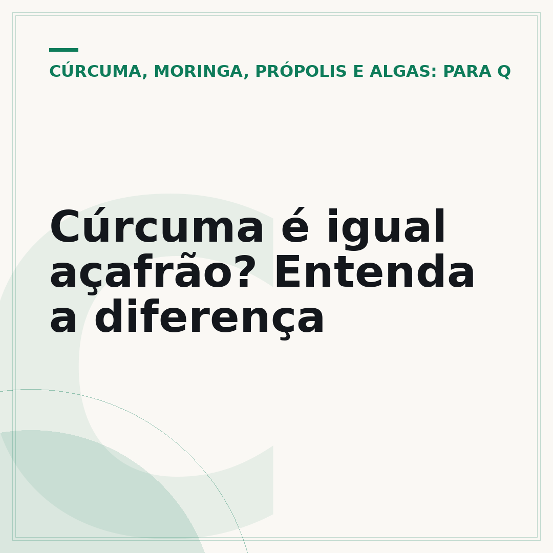 Cúrcuma é igual açafrão? Entenda a diferença