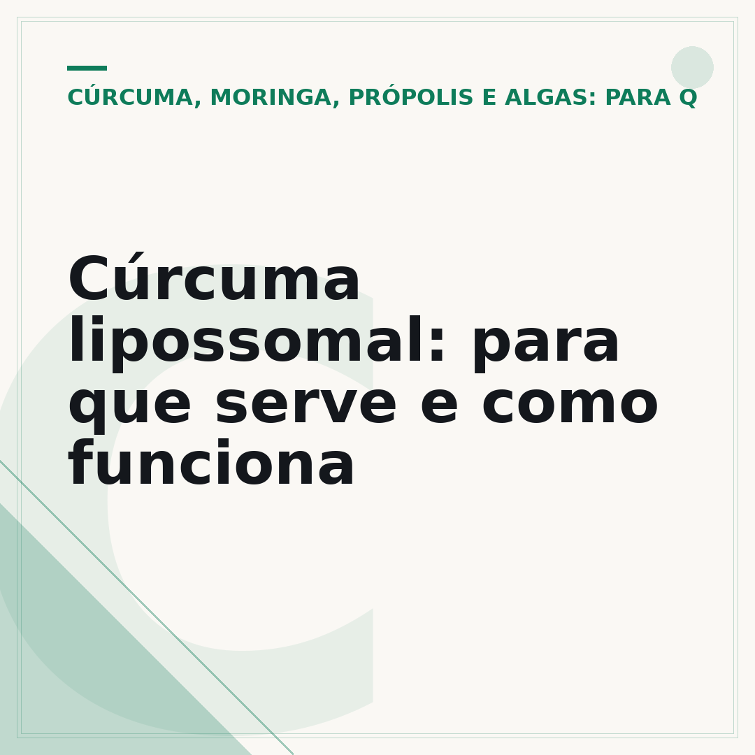 Cúrcuma lipossomal: para que serve e como funciona