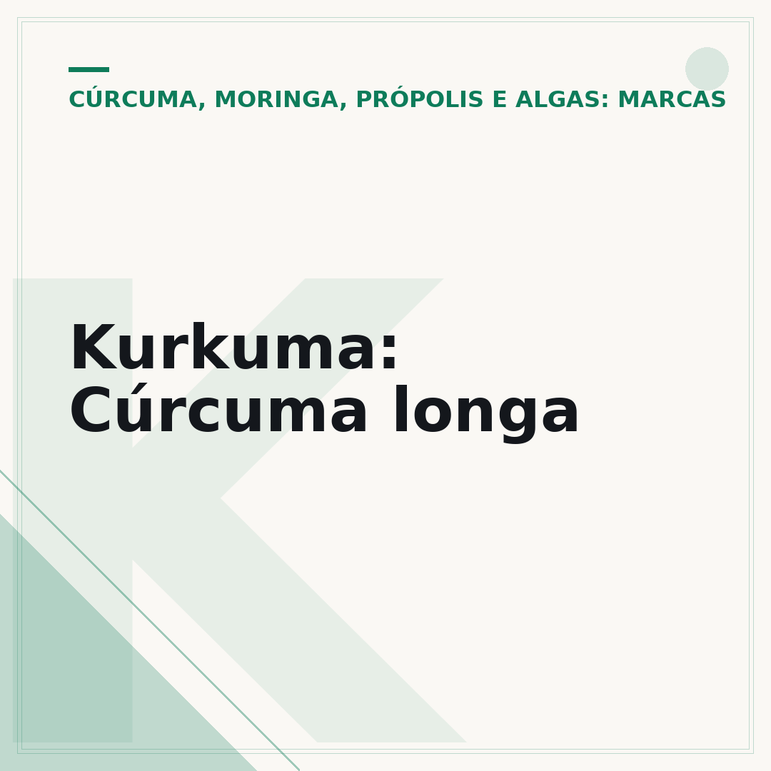 Kurkuma: Cúrcuma longa