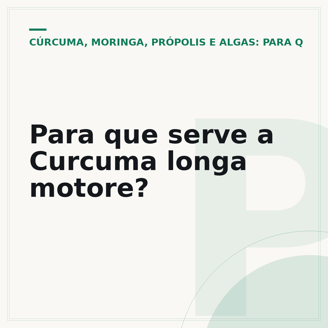 Para que serve a Curcuma longa motore?