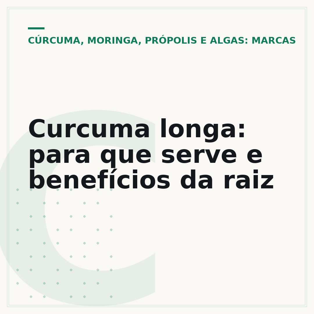 Curcuma longa: para que serve e benefícios da raiz