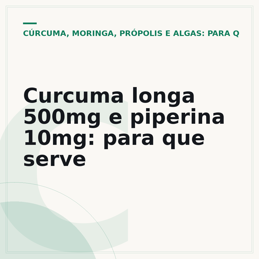 Curcuma longa 500mg e piperina 10mg: para que serve