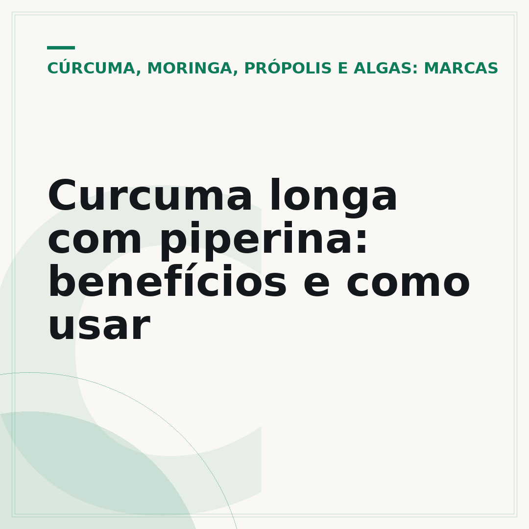 Curcuma longa com piperina: benefícios e como usar