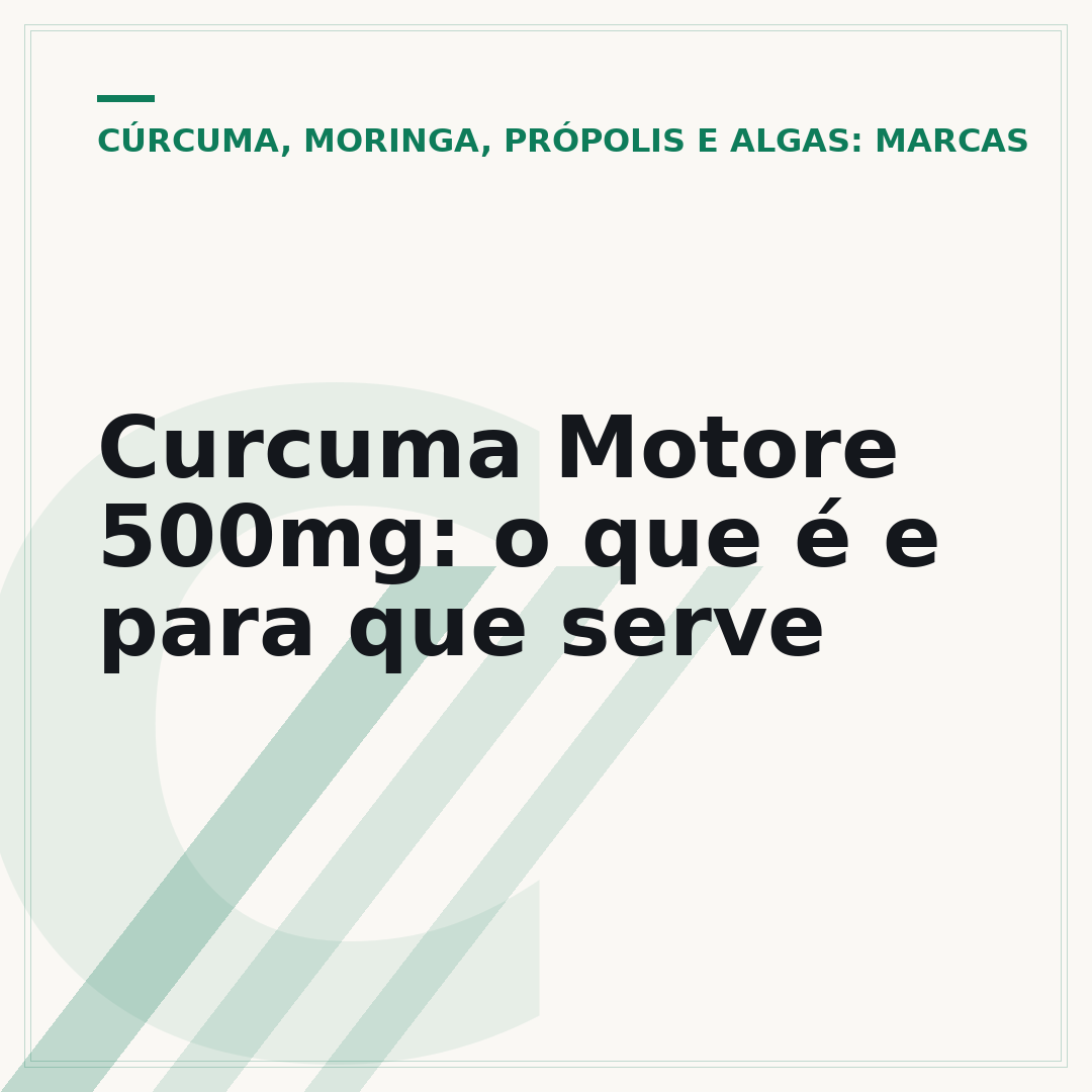 Curcuma Motore 500mg: o que é e para que serve