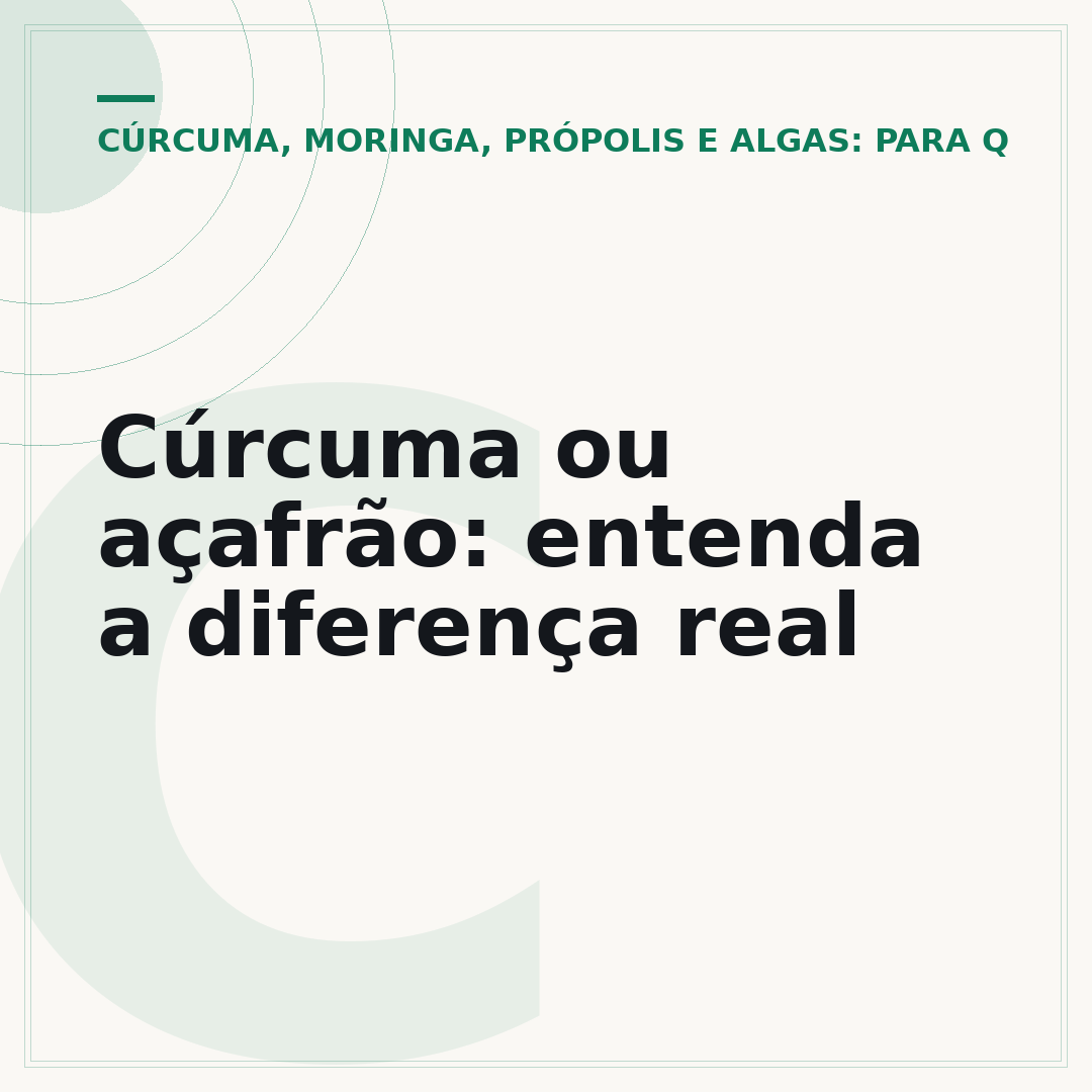 Cúrcuma ou açafrão: entenda a diferença real