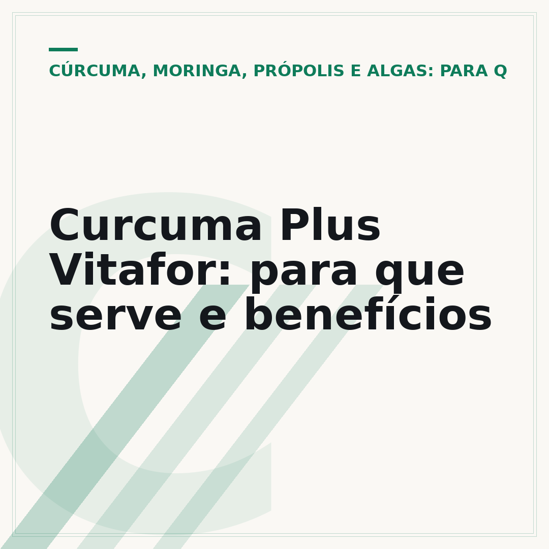 Curcuma Plus Vitafor: para que serve e benefícios