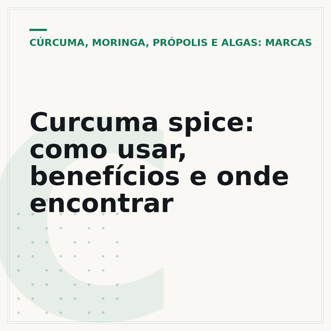 Curcuma spice: como usar, benefícios e onde encontrar