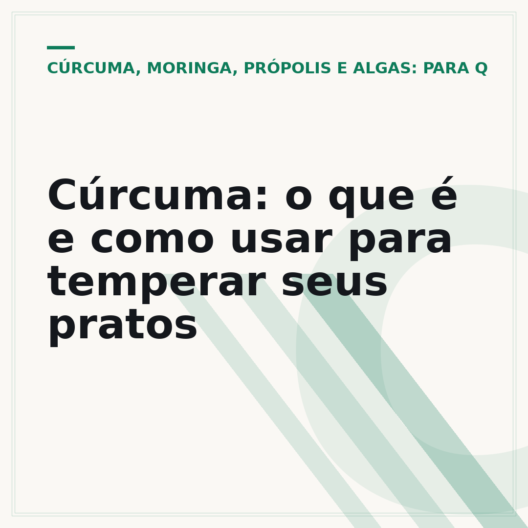 Cúrcuma: o que é e como usar para temperar seus pratos