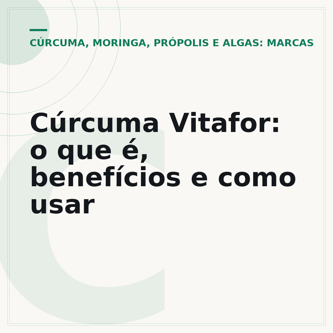 Cúrcuma Vitafor: o que é, benefícios e como usar